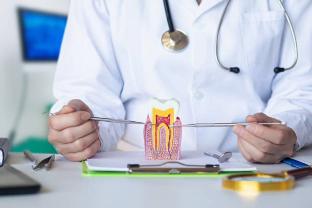 Best Emergency Dentist for Knocked-Out Tooth in Sacred Heart University, CT